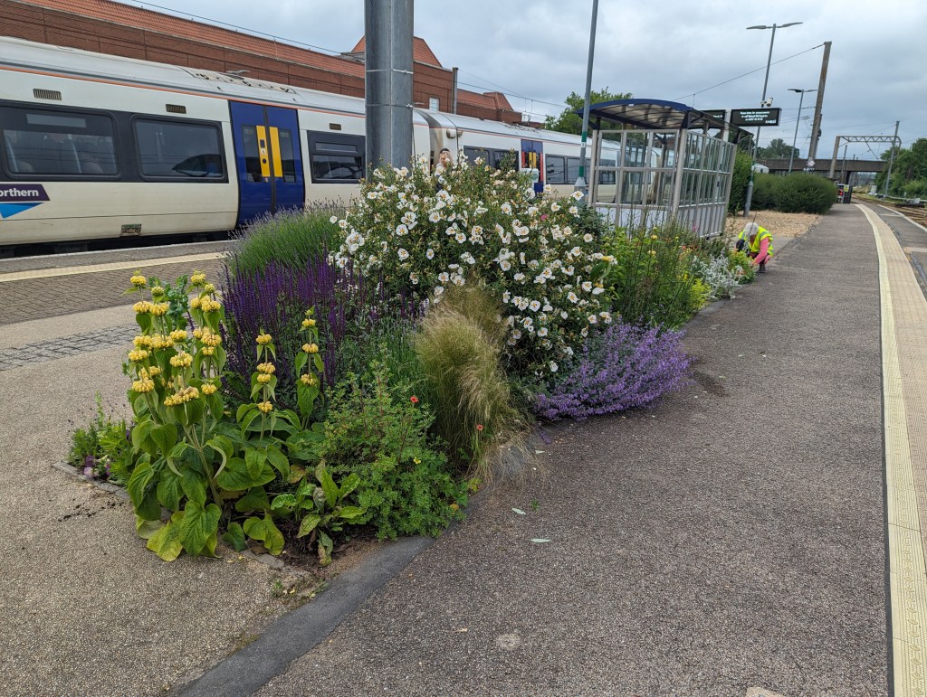 2024 – A Year in&nbsp;Bloom