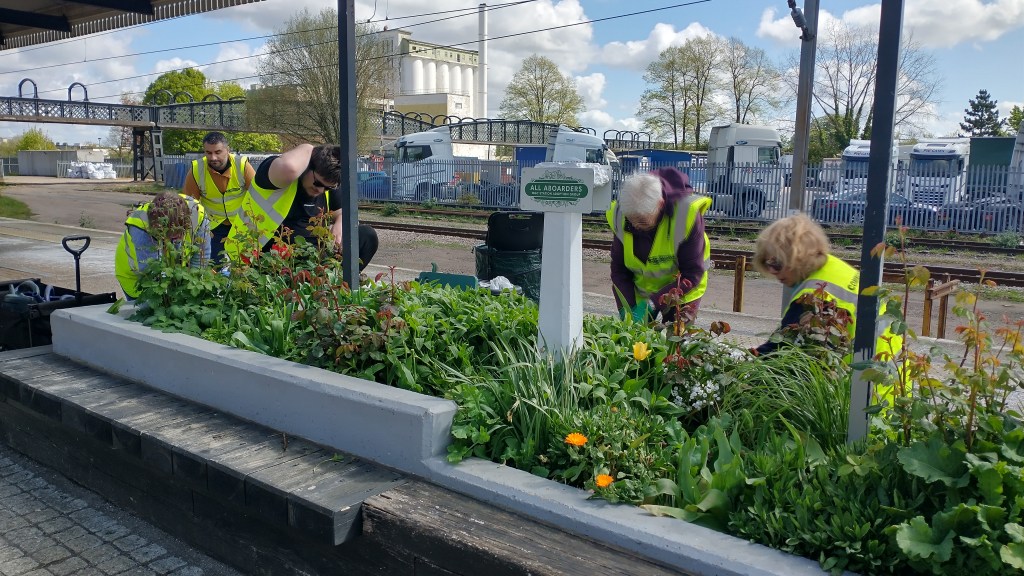 Volunteers work on a raised bed